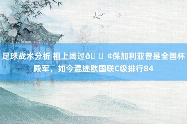 足球战术分析 祖上阔过😢保加利亚曾是全国杯殿军，如今混迹欧国联C级排行84