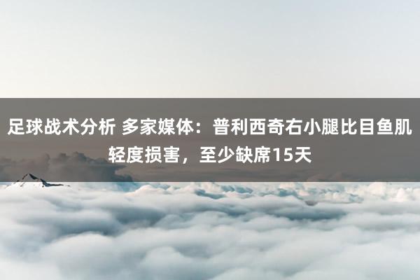 足球战术分析 多家媒体：普利西奇右小腿比目鱼肌轻度损害，至少缺席15天