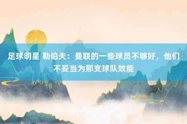 足球明星 勒伯夫：曼联的一些球员不够好，他们不妥当为那支球队效能