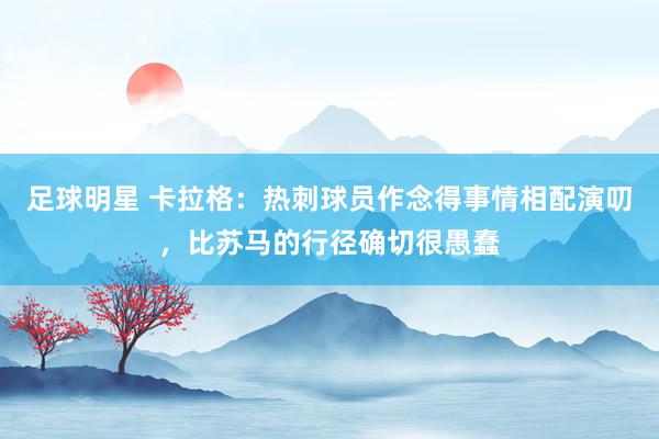 足球明星 卡拉格：热刺球员作念得事情相配演叨，比苏马的行径确切很愚蠢