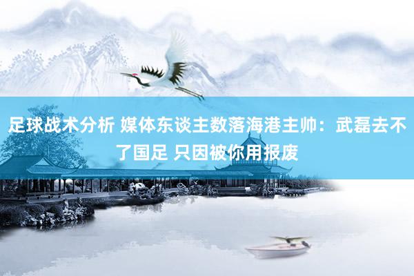 足球战术分析 媒体东谈主数落海港主帅：武磊去不了国足 只因被你用报废